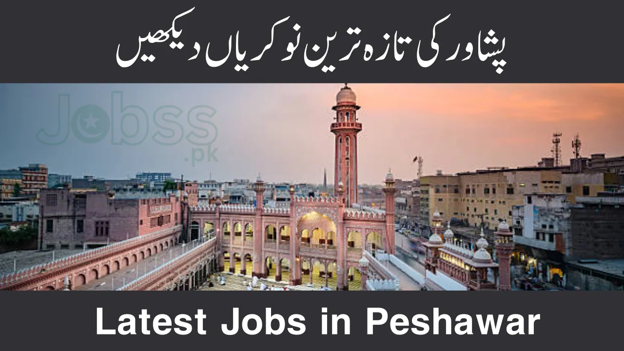 Jobs in Peshawar