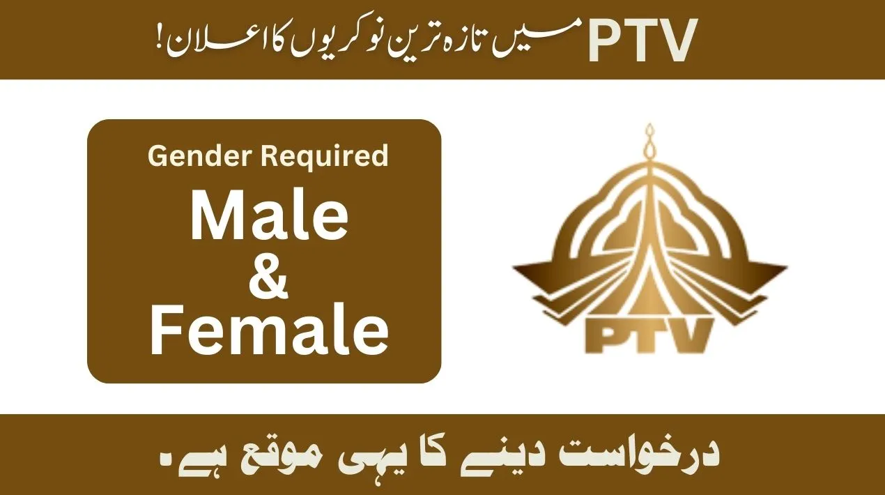 PTV Jobs