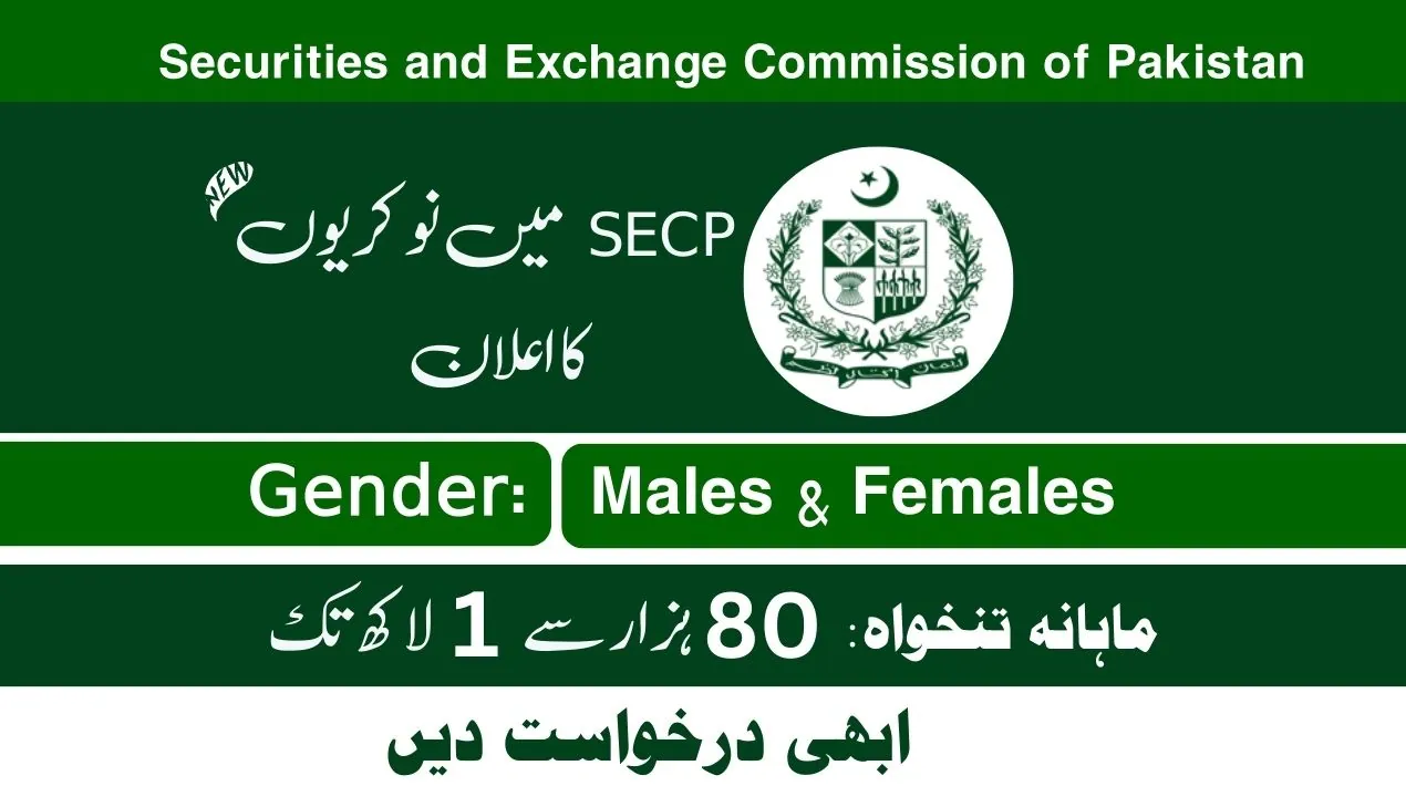 SECP Jobs