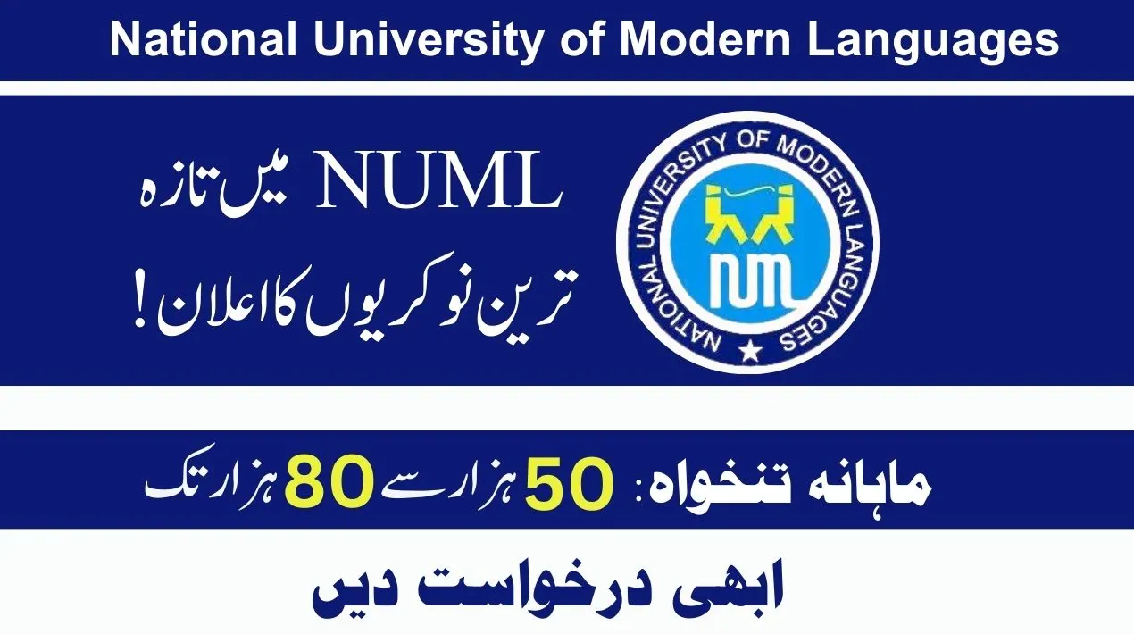 NUML Jobs