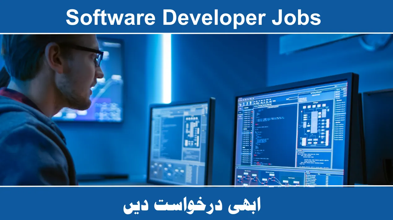 Software Developer Jobs 