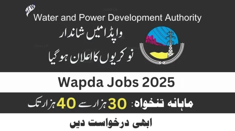 WAPDA Jobs